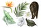 Beautiful digital set with tropical leaves, plumeria flowers and .strelitzia flowers, animal leopard