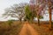 Beautiful dirt road with amazing light