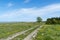 Beautiful dirt road through a green grassland with lots of yellow flowers