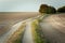 Beautiful dirt road through plowed fields and bushes