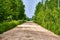 Beautiful dirt road to the forest. general plan. color nature