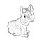 Beautiful dog in a dress and with a bow. Coloring book page. Purebred puppy. French Bulldog. Vector illustration for a