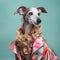 Beautiful dog elegantly dressed dog, in a blouse and jacket on a blue background