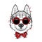 A beautiful dog with glasses and a bow tie. Vector illustration. Purebred puppy in clothes and accessories. Husky.