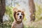 Beautiful dog portrait in bear hat photographed outdoors. Cute s