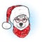 A beautiful dog in Santa`s hat and scarf. Antler. Vector illustration. Purebred puppy in clothes and accessories. Husky or wolf. N