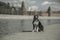 A beautiful dog sits on the embankment opposite the Moscow Kremlin.