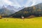 Beautiful Dolomites, Odle mountain range, Seceda mountains near the village of Santa Maddalena, Trentino Alto Adige province, Val