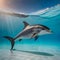 Beautiful dolphin - ai generated image