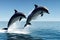 Beautiful dolphins diving and leaping out of the ocean