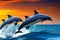 Beautiful dolphins diving and leaping out of the ocean during stunning sunset