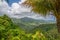 Beautiful Dominica mountain forest landscape taken before Hurricane Maria destruction - Nature Island