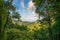 Beautiful Dominica mountain forest landscape taken before Hurricane Maria destruction - Nature Island