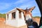 Beautiful donkey with his head in a car window posing for picture on a sunny day. Taken in remote Karpas Peninsula in Turkish