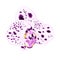 Beautiful dots purple and white Orchid flower closeup isolated on a white background vintage vector illustration editable