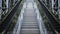 Beautiful Double escalator symmetry