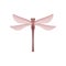 Beautiful dragonfly with red body and two pairs of large transparent wings. Fast-flying insect. Flat vector icon
