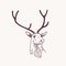 Beautiful drawing or sketch of head of male deer, reindeer or stag with elegant antlers. Forest animal drawn with