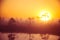 A beautiful, dreamy morning scenery of sun rising above a misty marsh. Colorful, artistic look.