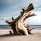 Beautiful driftwood - ai generated image