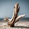 Beautiful driftwood - ai generated image