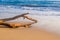 Beautiful driftwood rests on Cabarete beach in early morning