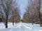 Beautiful driveway leading to a yellow