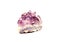A beautiful druse of purple amethyst. Crystals of amethyst quartz. A semi-precious natural stone