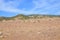 Beautiful dry Cypriot landscape with herd of goats