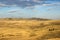 Beautiful dry Mongolian steppe with mountains rising in the distance.