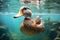 Beautiful duck swimming in the water - Ai Generated