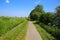 Beautiful dutch rural landscape with riverside cycle path, agricultural field, river Maas, blue sky - Maasheggen biosphere reserve