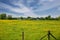 Beautiful dutch rural scenic riverside landscape, green meadow with yellow buttercup flowers, inland waterway vessel on maas river