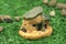 Beautiful Dwarf House Miniature