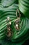 Beautiful earrings on green tropical leaf