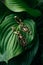 Beautiful earrings on green tropical leaf