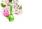 Beautiful Easter decoration. Apple blossom and Easter eggs on a white background