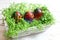 Beautiful easter decoration with cress and easter eggs