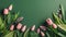 Beautiful Easter Tulips Pattern On Green Background With Copy Space - Generative AI
