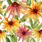 Beautiful echinacea flowers coneflower with leaves on white background. Seamless floral pattern. Watercolor painting.