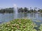 The beautiful Echo Park Lake