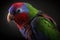 Beautiful Eclectus Parrot Close Up. Colorful and Vibrant Animal.