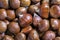 Beautiful Edible Chestnuts Background