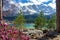 beautiful Eibsee mountain lake in Grainau Germany with Zugspitze mountains in the background and pink flowers