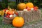 Beautiful elaborate Halloween display on a bale of hay and an apple crate