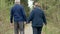 A beautiful elderly couple, walking in the park, talking kindly. Good mood, positive life. Love each other, hold hands