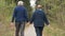 A beautiful elderly couple, walking in the park, talking kindly. Good mood, positive life. Love each other, hold hands.