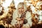 Beautiful elderly woman being surprised finding a mushroom.