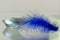 Beautiful and elegance blue tail feather