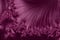 Beautiful elegant burgundy abstract fabric texture
